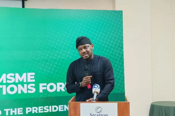 Federal Government Targets 100,000 Jobs by May 29, Partners with Access Bank for MSME Support