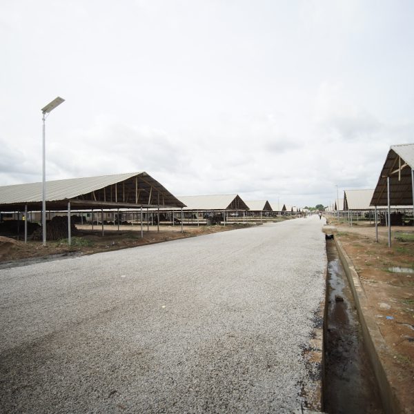 Benue Yam Market, Zaki Biam