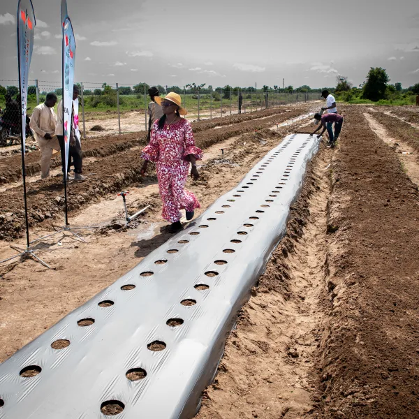 Jigawa Irrigation and Solar Plant