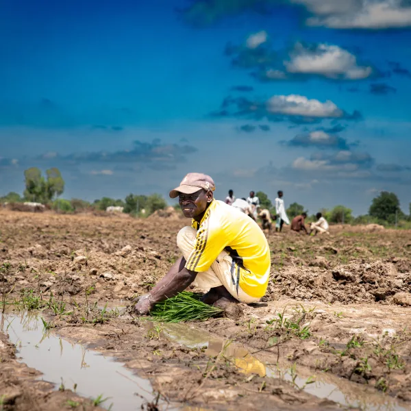 Jigawa Irrigation and Solar Plant