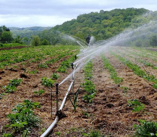 Jigawa Irrigation and Solar Plant